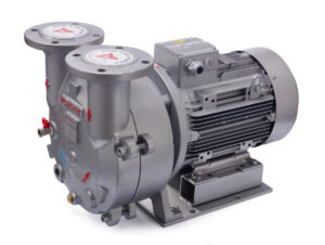 Monoblock water ring vacuum pump
